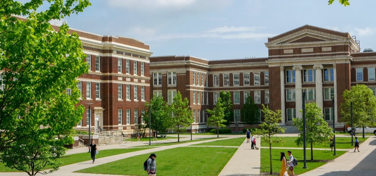 Schneider Quad on an afternoon day