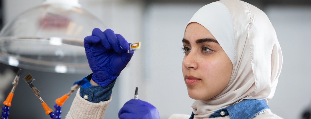 Students performing research