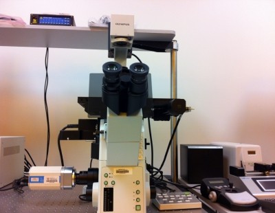 Olympus IX81-ZDC2 Focus Drift Compensating Inverted Microscope