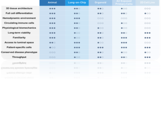 A table showing the stages of lung modeling