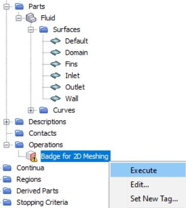 Execution of badge for 2D meshing